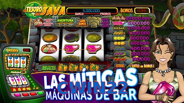 CWIN22