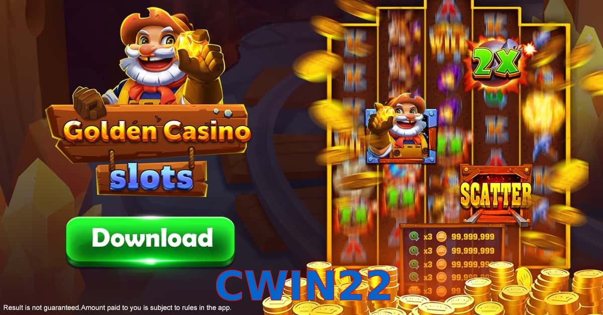 CWIN22