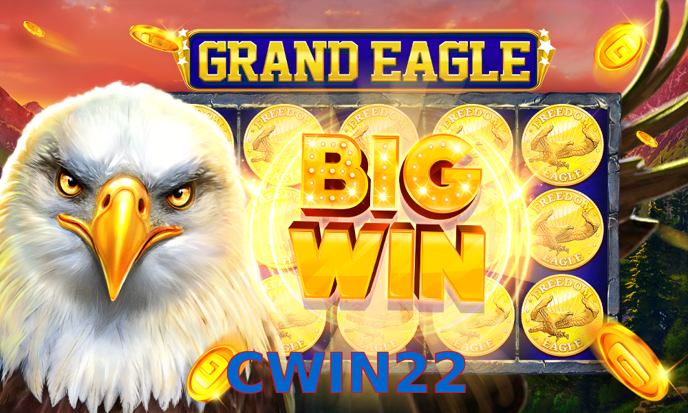 CWIN22