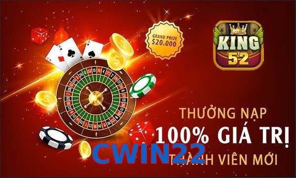 CWIN22